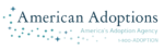 AA logo alternate (1).png